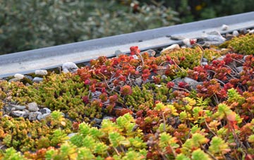 the cost of Chapel St Leonards green roof installation