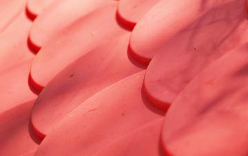 Chapel St Leonards plastic roof costs