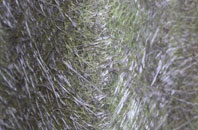 Chapel St Leonards fibreglass roof work